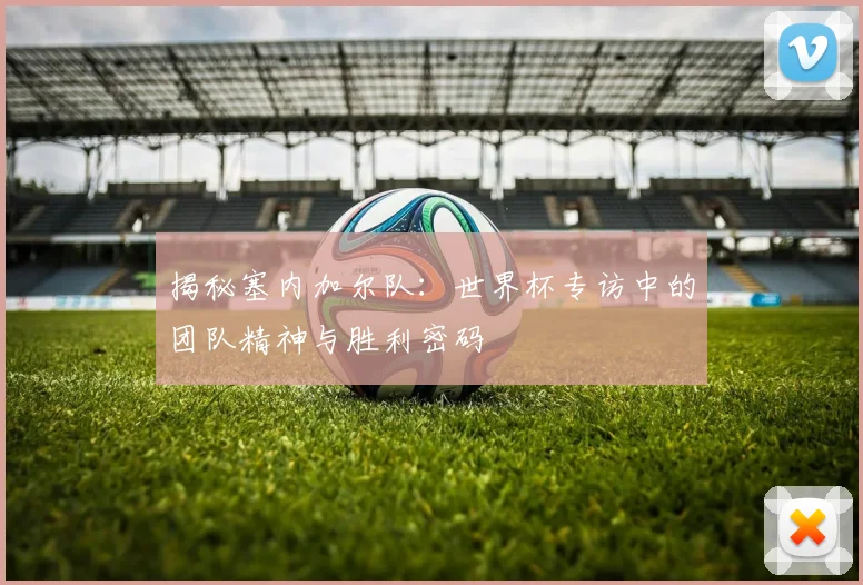 揭秘塞内加尔队：世界杯专访中的团队精神与胜利密码