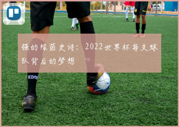 强的绿茵史诗：2022世界杯每支球队背后的梦想