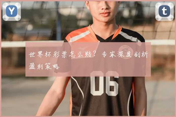 世界杯彩票怎么赔？专家深度剖析盈利策略