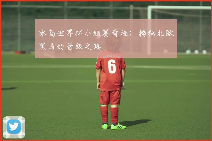 冰岛世界杯小组赛奇迹：揭秘北欧黑马的晋级之路