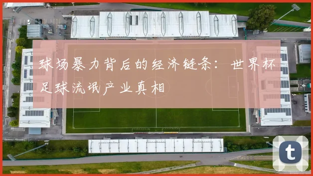 球场暴力背后的经济链条：世界杯足球流氓产业真相